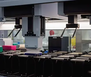 Miyawaki afforestation technique in mangalore.