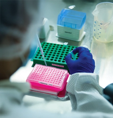 A stone path in a forest