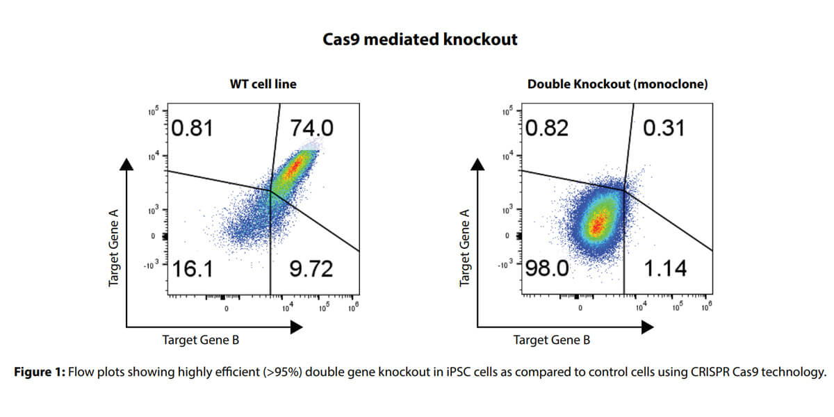 Cas9-mediated-knockout