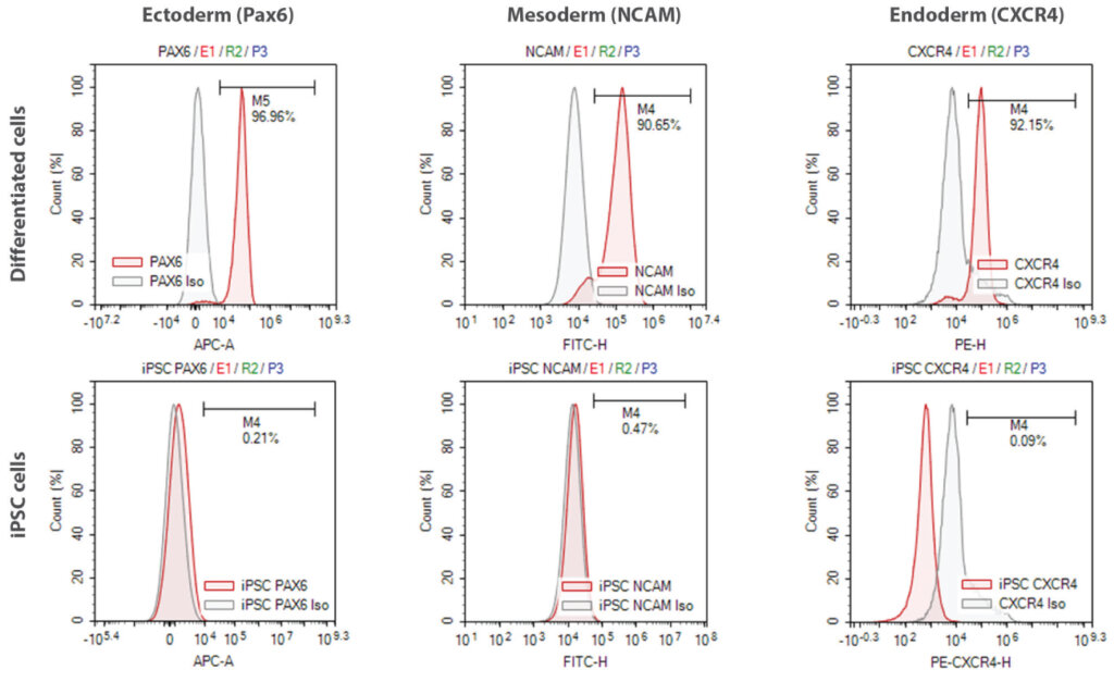 Flow cytometry plots showing expression of ectoderm, mesoderm, and endoderm lineage-specific markers in differentiated cells derived from induced pluripotent stem cells.