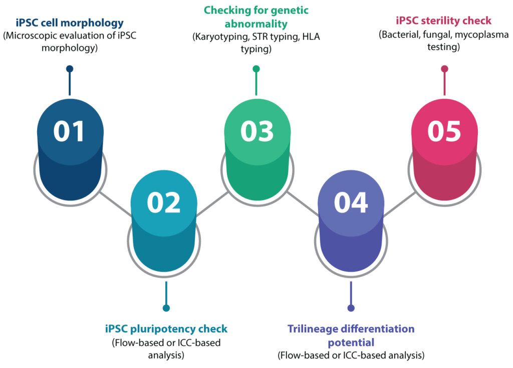 Infographic illustrating five quality control pillars for iPSCs including morphology assessment, pluripotency analysis, genetic stability testing, trilineage differentiation potential, and sterility testing.