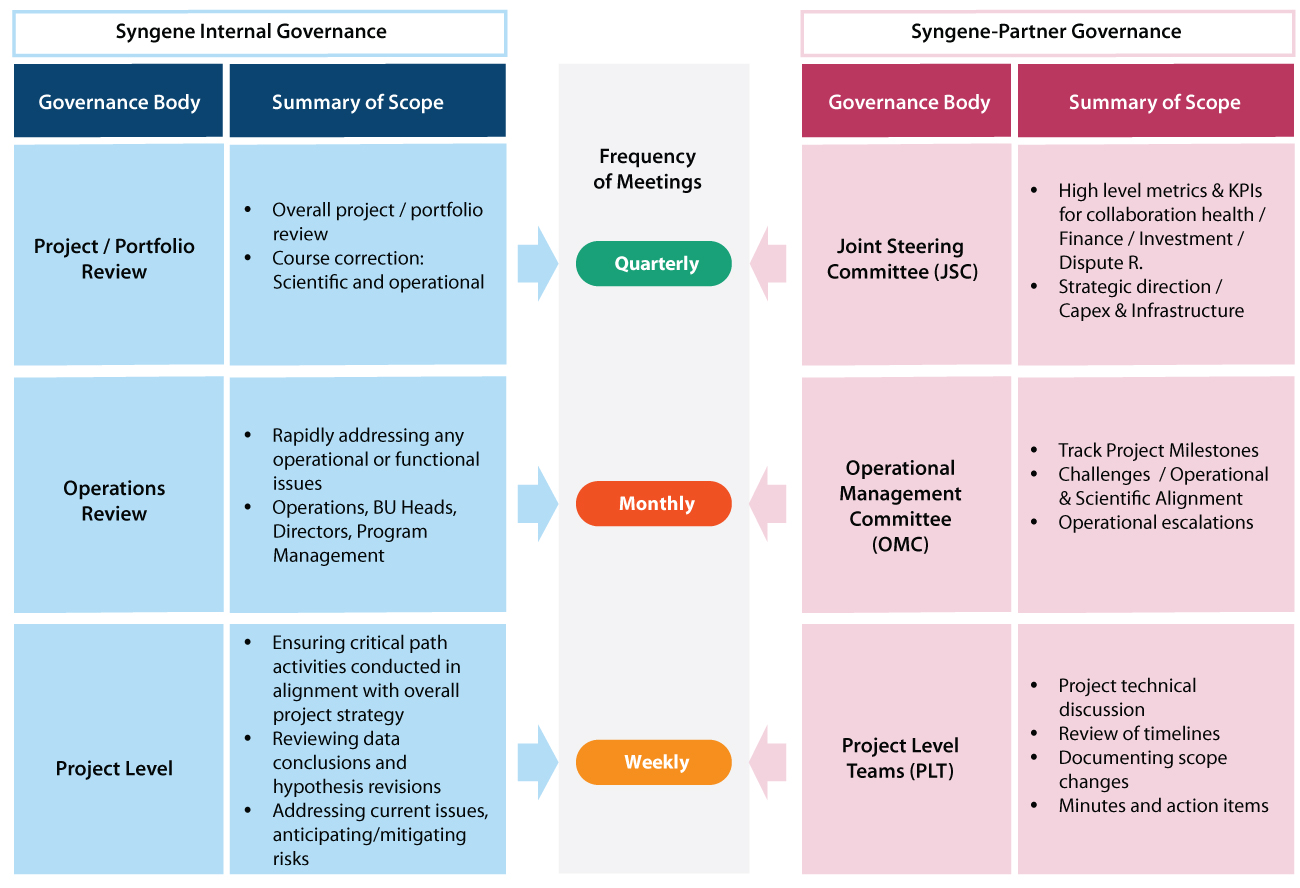 Matrix diagram showing Syngene’s program governance framework with internal and partner governance bodies, including portfolio review, operations review, and project-level teams operating at quarterly, monthly, and weekly frequencies.