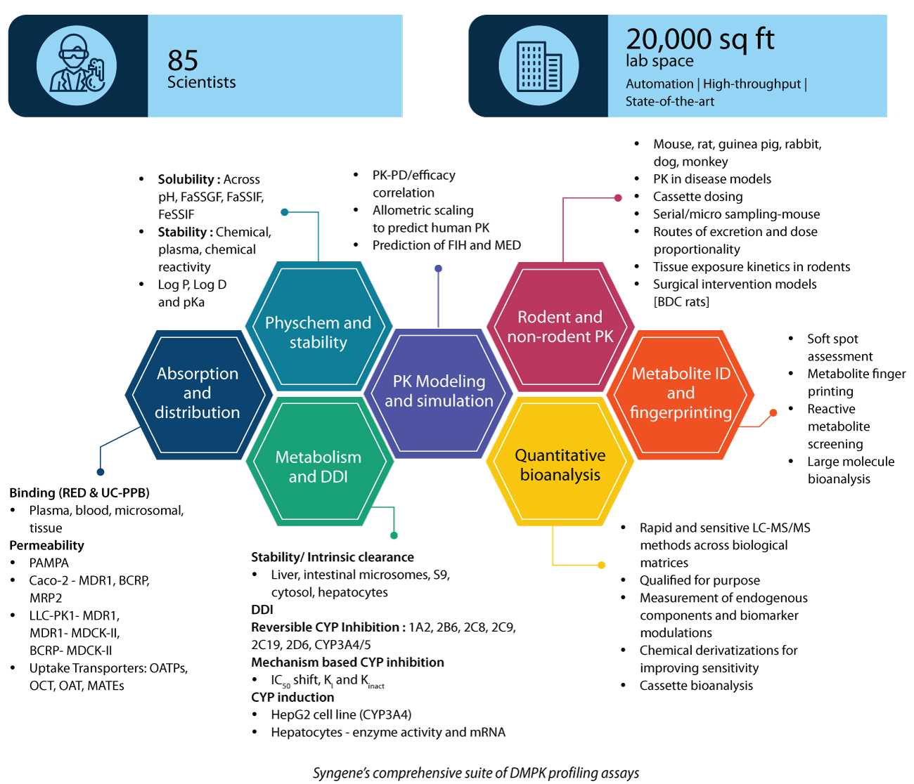 Infographic showing Syngene’s comprehensive suite of DMPK profiling assays, including in-silico predictions, in vitro ADME studies, and in vivo PK analysis.