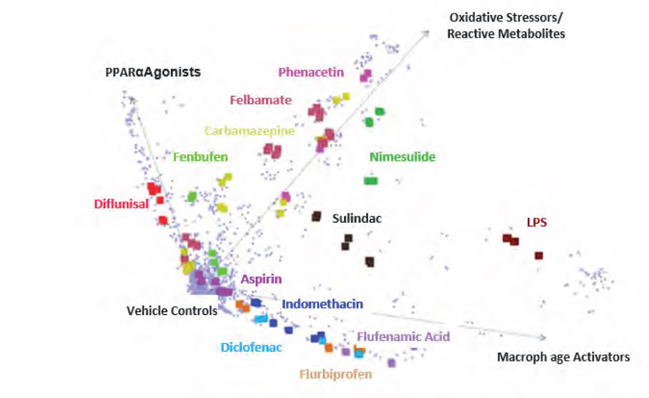 Scatter plot showing a 70-gene expression signature clustering compounds into distinct hepatotoxicity mechanisms, including PPARα agonists, macrophage activators, and oxidative stress–related toxicants.
