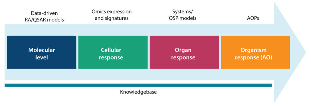 Schematic of an adverse outcome pathway framework linking molecular-level QSAR data, cellular omics responses, organ-level system models, and organism-level adverse outcomes.