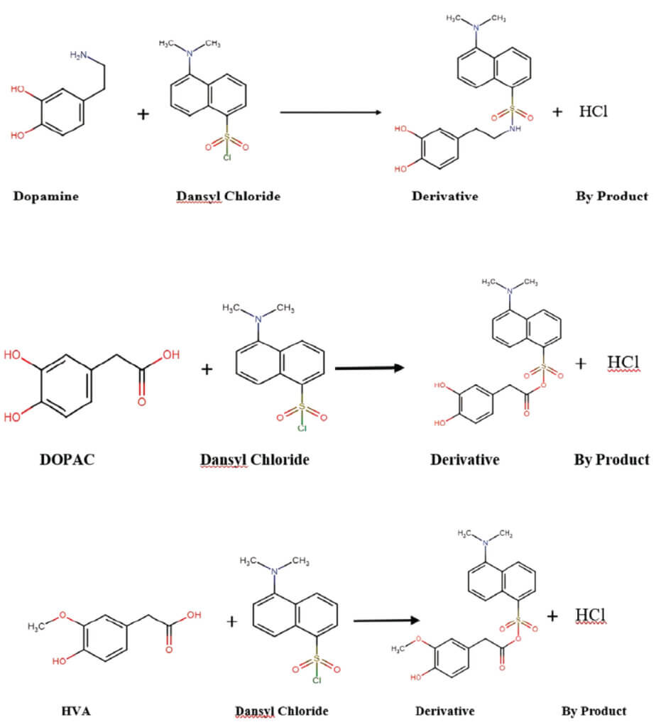 Chemical reaction schemes showing derivatization of dopamine, DOPAC, and homovanillic acid using dansyl chloride to improve detection in LC-MS/MS analysis.
