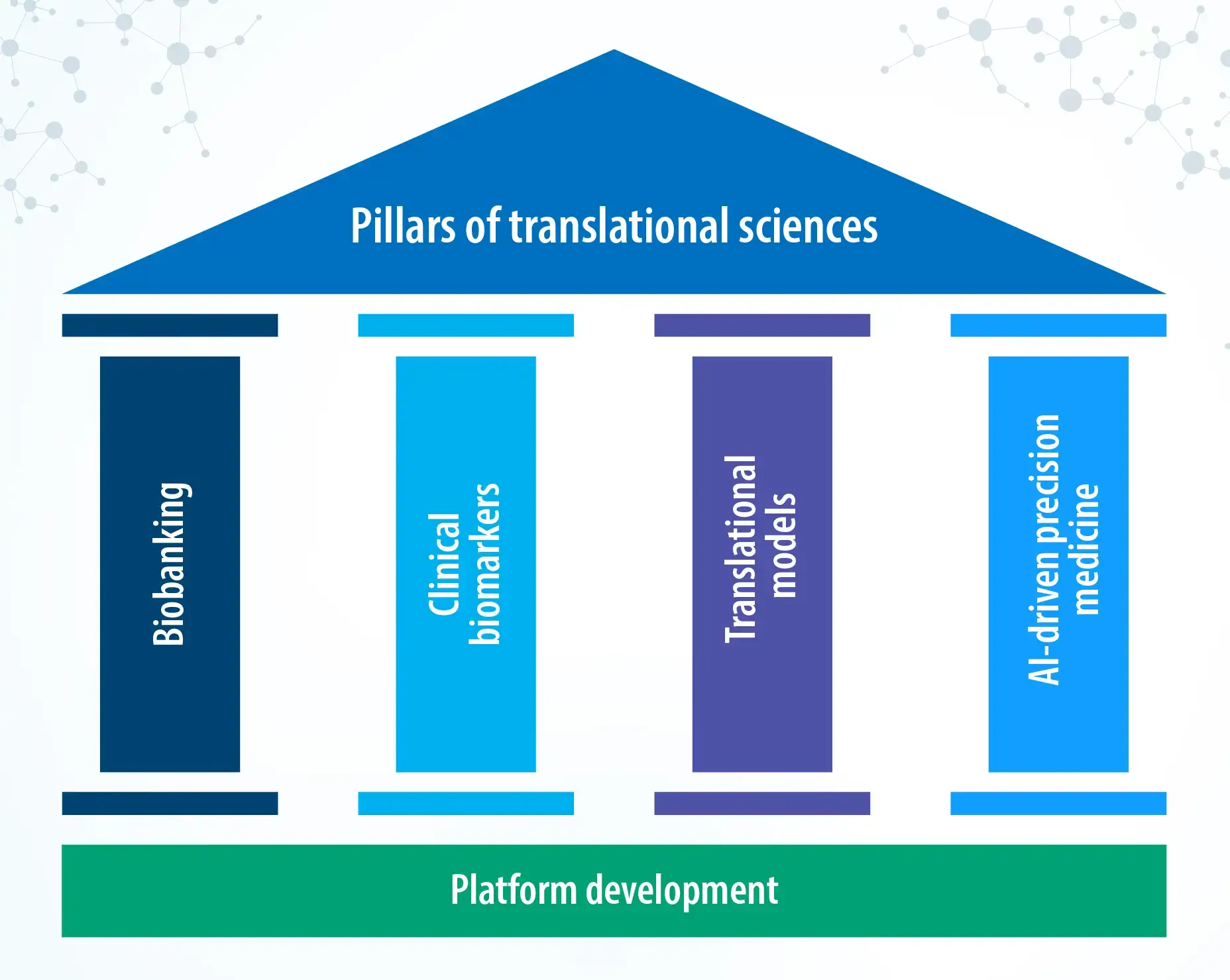 Key Pillars of Translational Sciences at Syngene