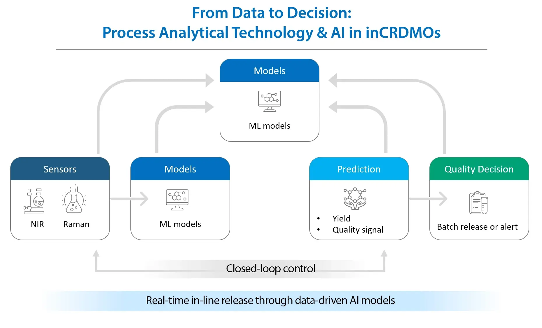 Process analytical technology in CRDMOs showing closed-loop control where in-line NIR and Raman data feed AI models to support real-time quality and batch release decisions.