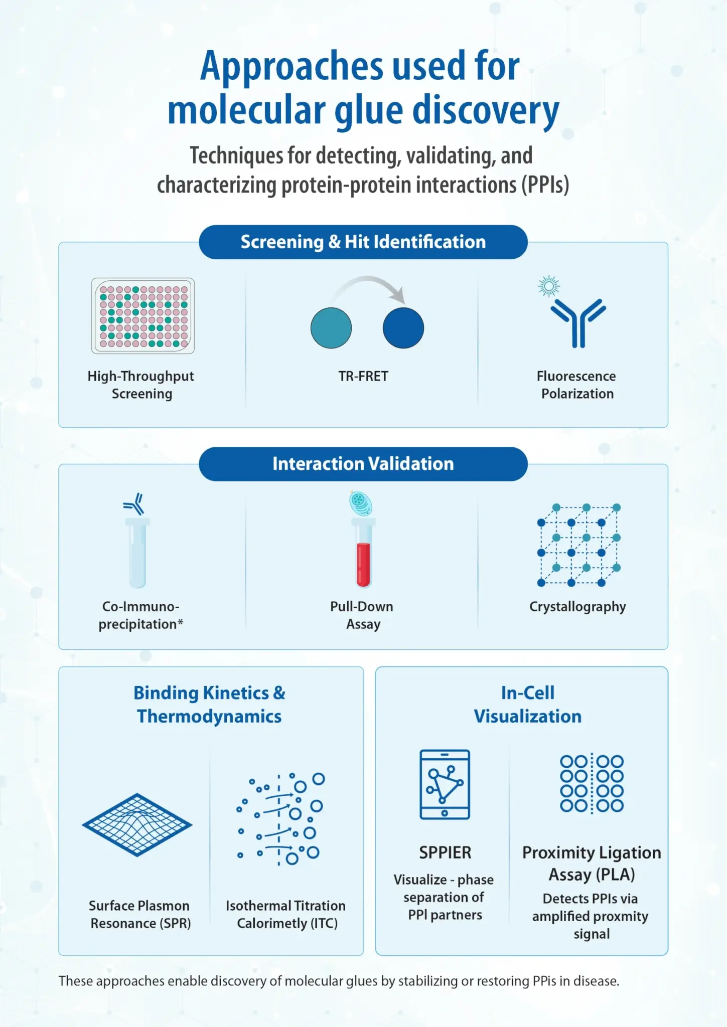 Infographic showing methods for molecular glue discovery: screening, validation, kinetics, and in-cell visualization.