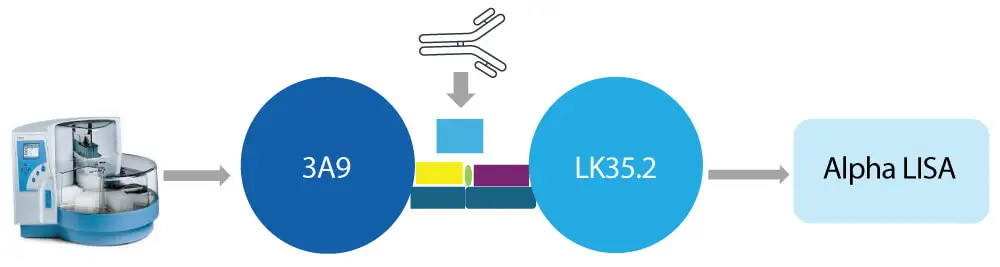 Cell-based neutralizing antibody assay schematic showing 3A9 and LK35.2 PD-1/PD-L1 overexpressing cell lines linked to an AlphaLISA readout for PD-1 checkpoint bioanalysis.