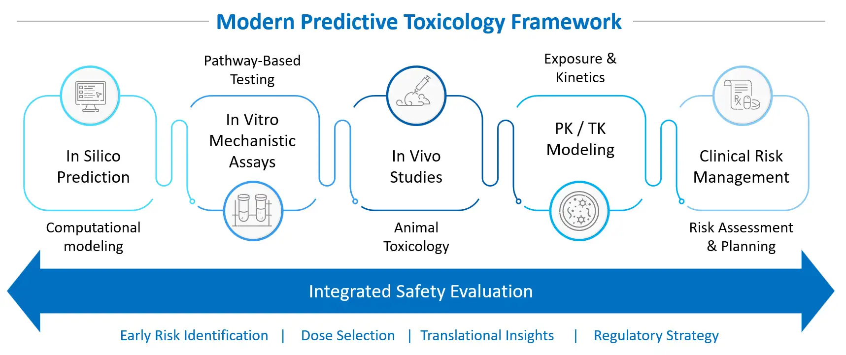 Modern predictive toxicology framework integrating computational toxicology, in vitro assays, in vivo studies, PK/TK modeling, and clinical risk management in safety assessment