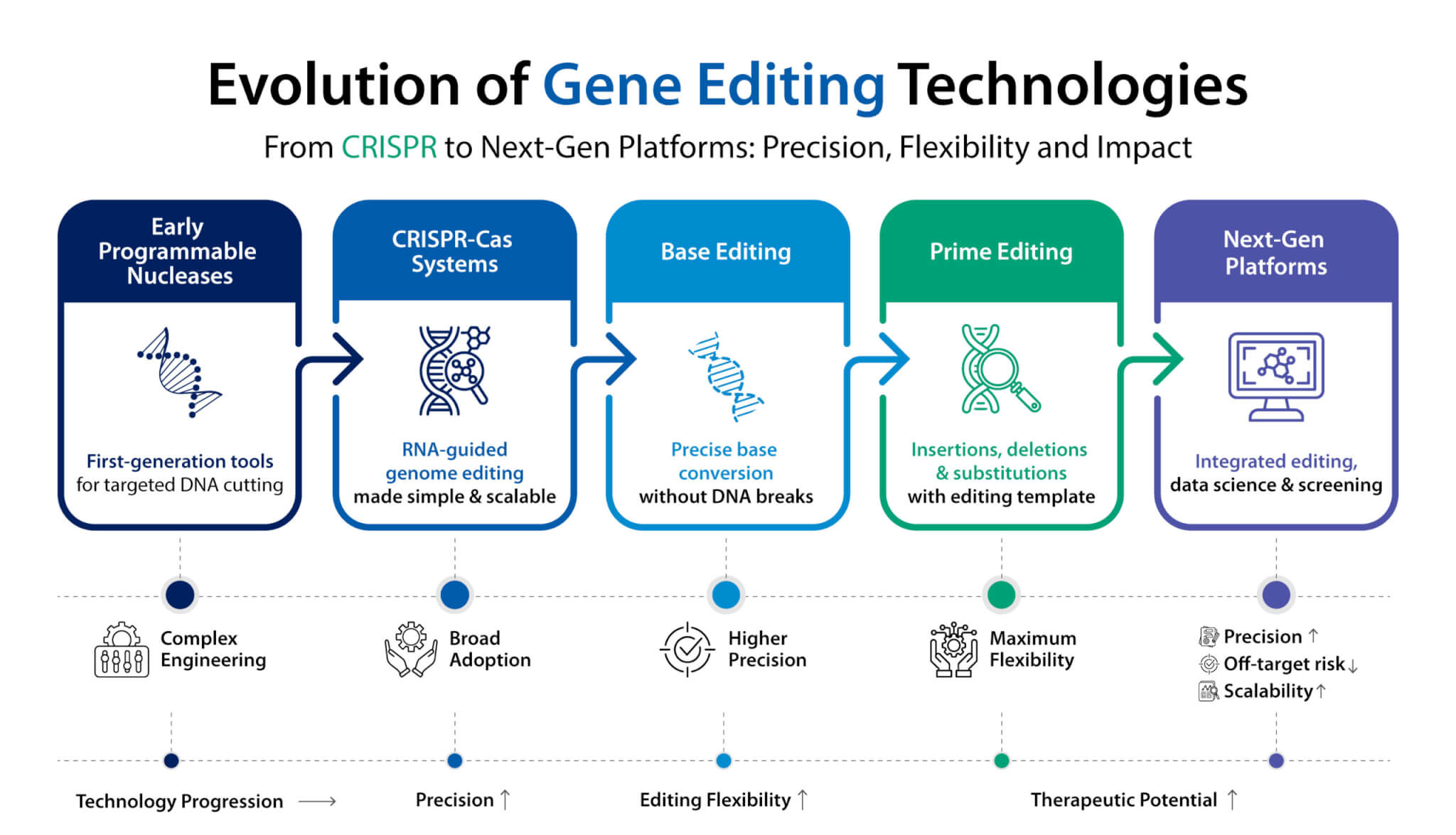 Infographic showing gene editing applications across the drug development pipeline.