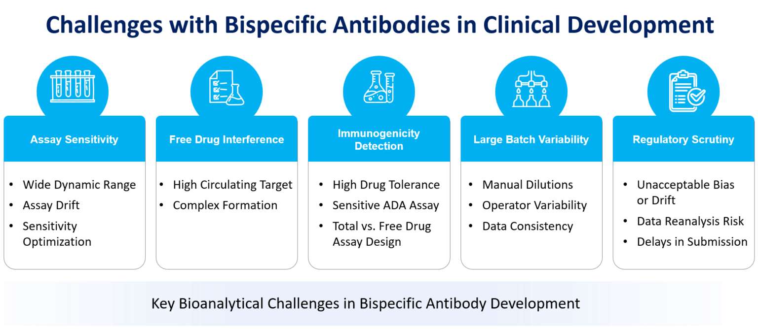 Bispecific Antibodies in Clinical Development: Translating Molecular ...