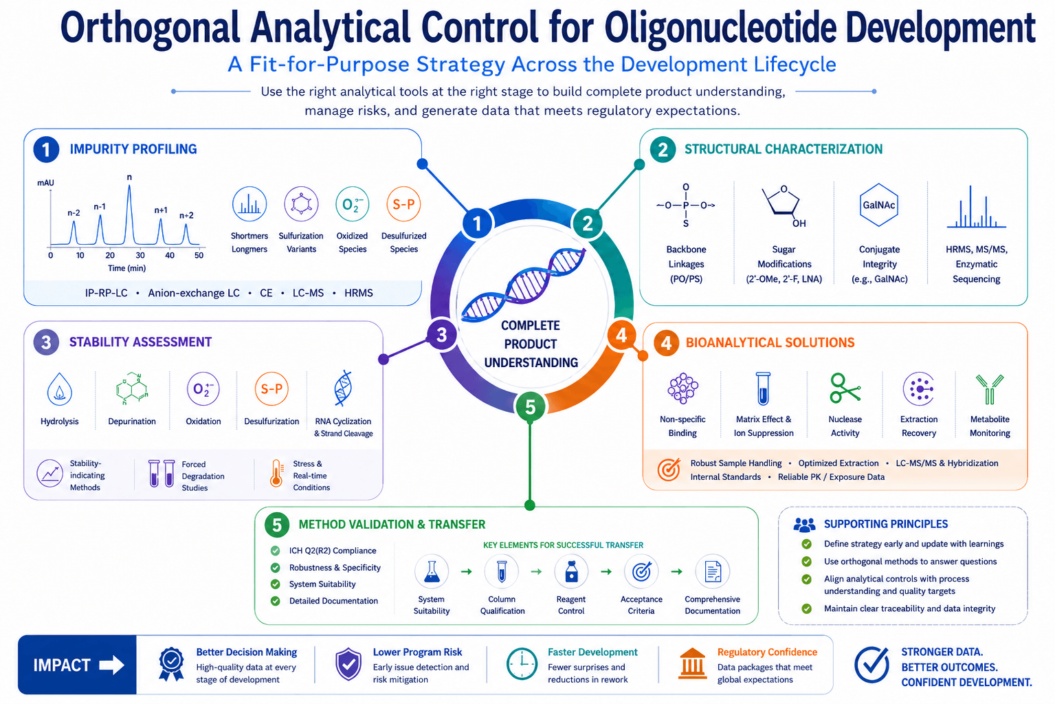 Orthogonal analytical control strategy for oligonucleotide development across impurity profiling, stability, and validation.