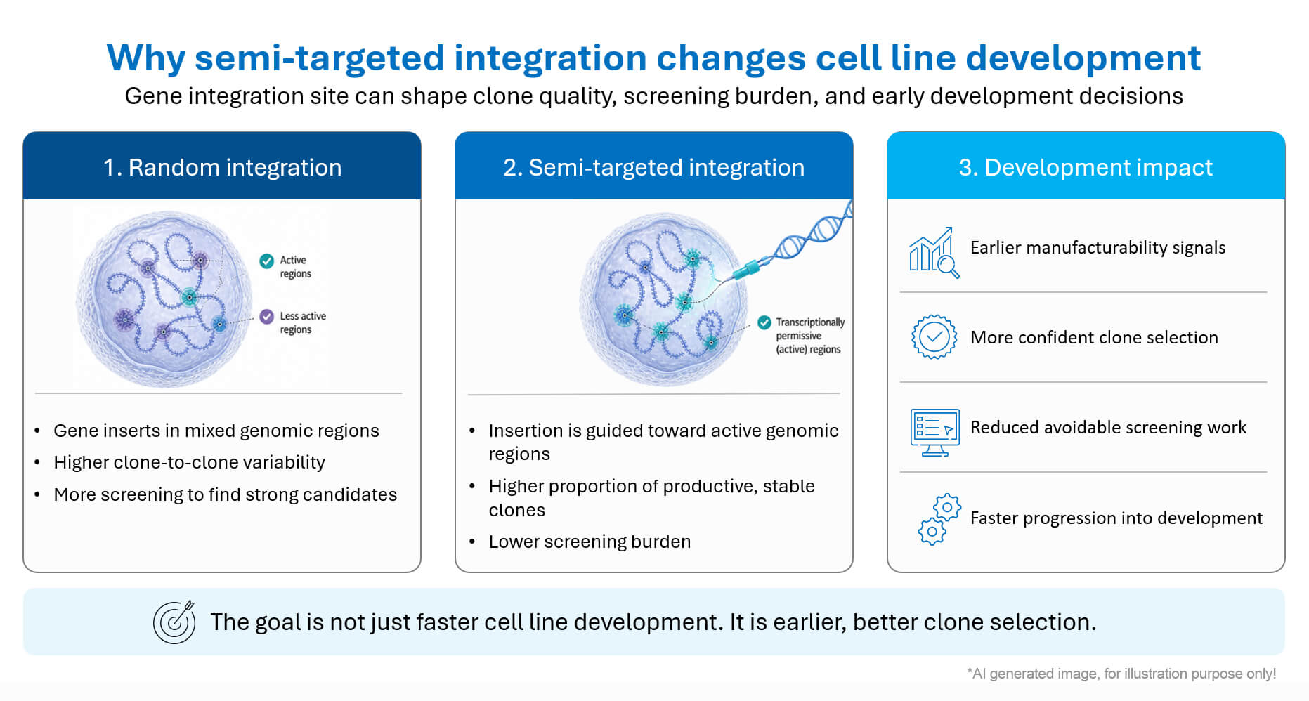 Semi-targeted integration reduces clone screening burden and supports earlier, more confident cell line development decisions.
